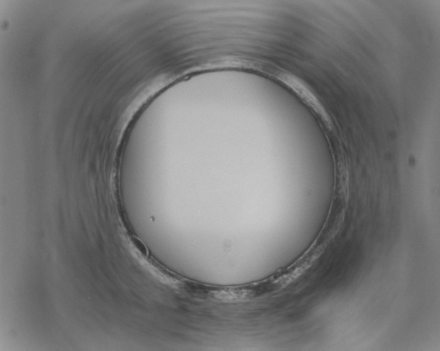 X0000076390805200610271551