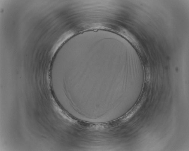 X0000076390806200610271551