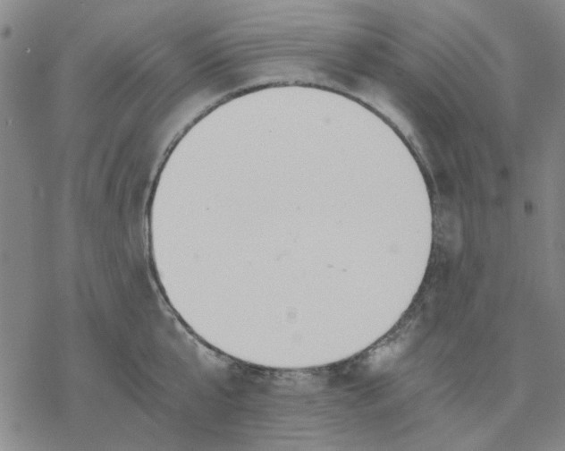 X0000076390807200610271551