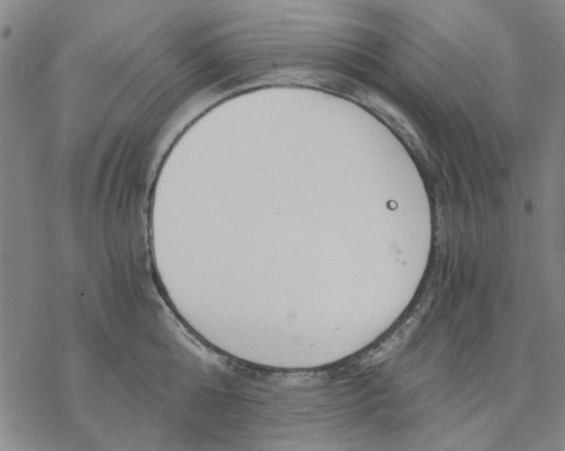 X0000076390808200610271551