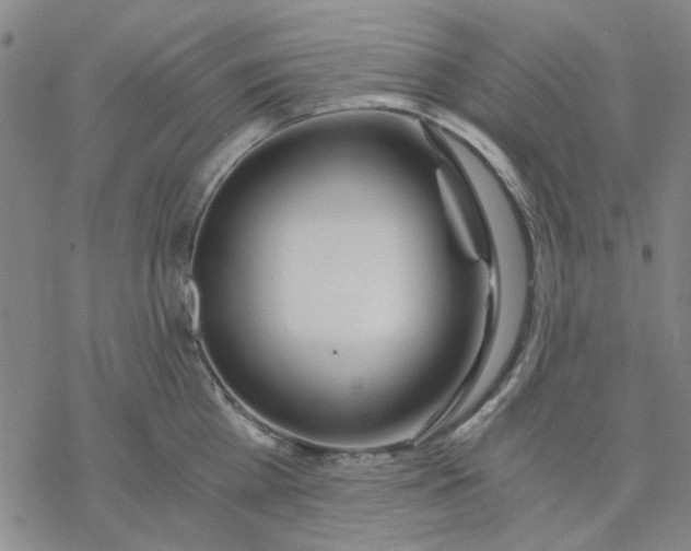 X0000076390809200610271551