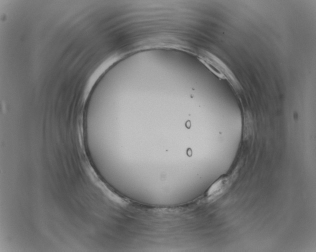 X0000076390812200610271551