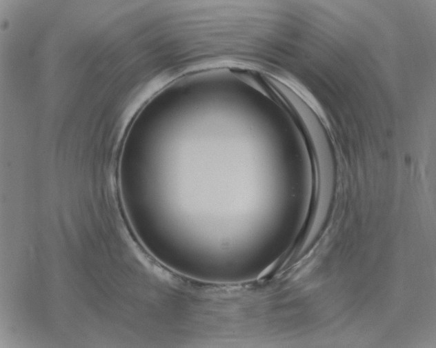 X0000076390813200610271551