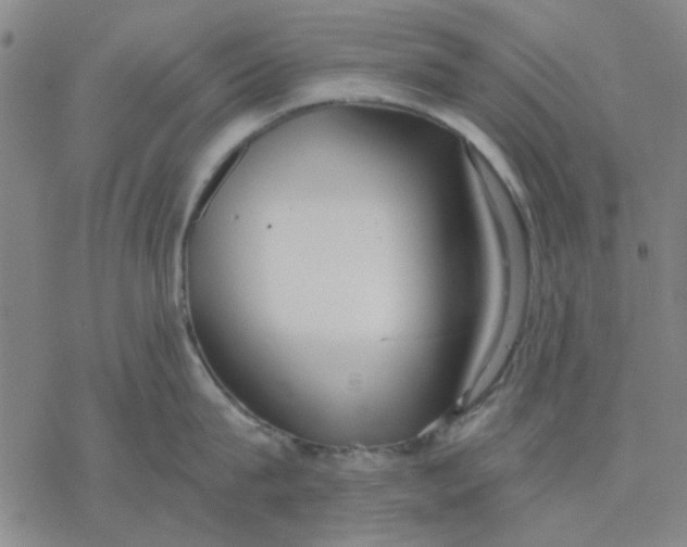 X0000076390815200610271551