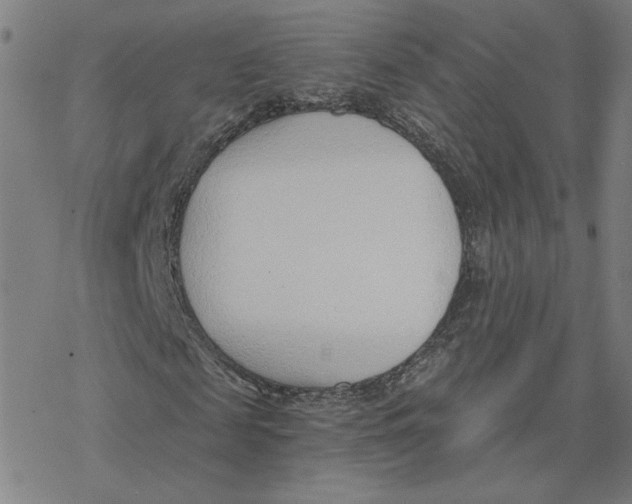 X0000076390817200610271550