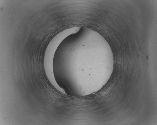 X0000076390818200610271550