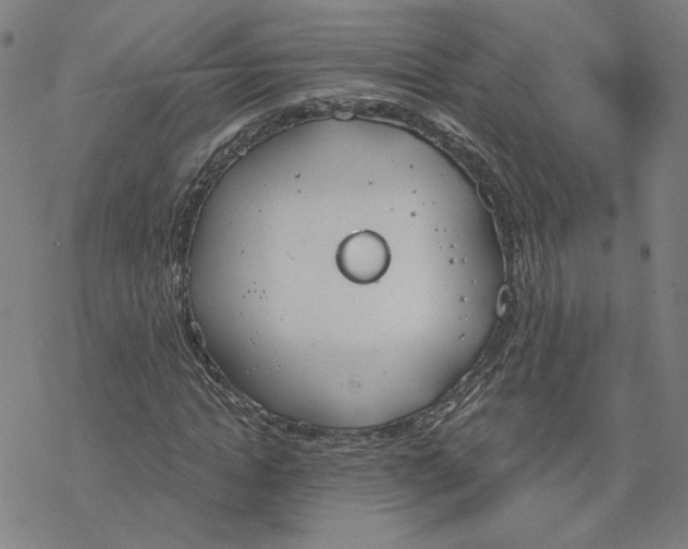 X0000076390822200610271550