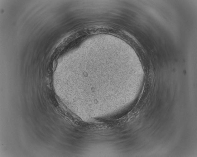 X0000076390823200610271550