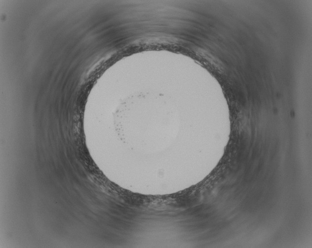 X0000076390824200610271550