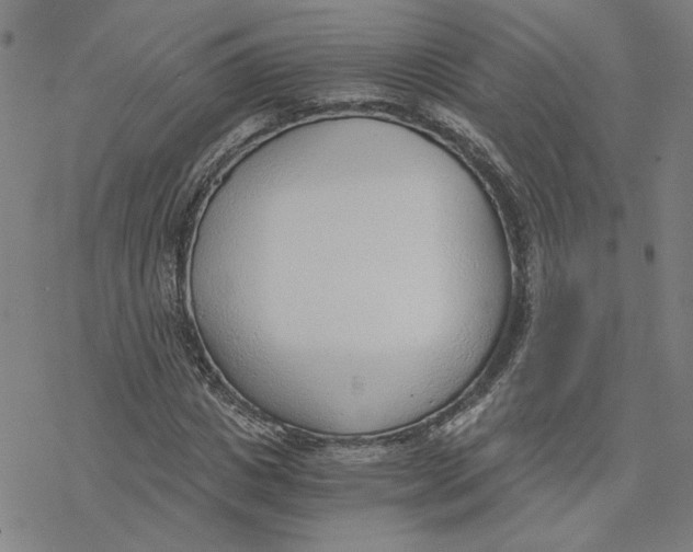 X0000076390825200610271551