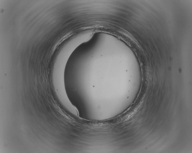 X0000076390826200610271551