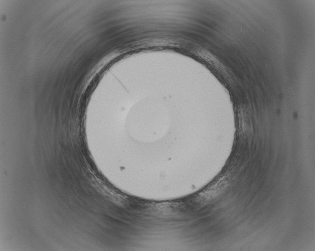 X0000076390828200610271551