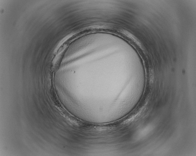 X0000076390829200610271551