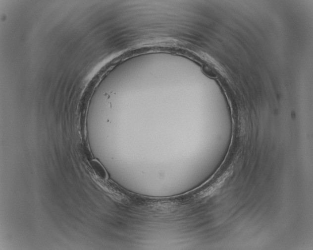 X0000076390830200610271551