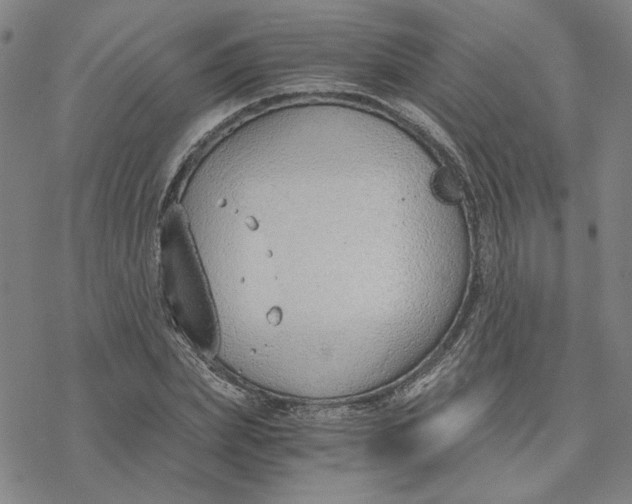 X0000076390831200610271551