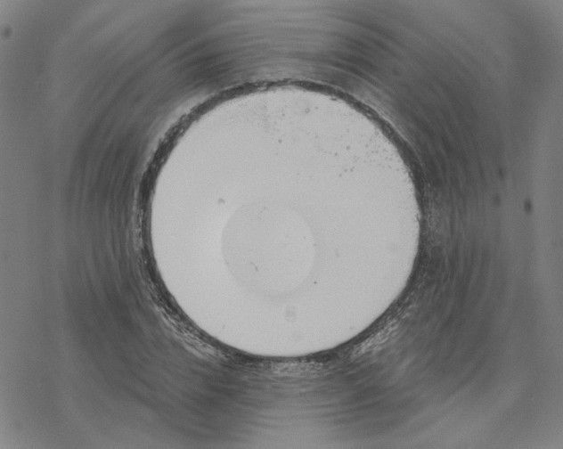 X0000076390832200610271551