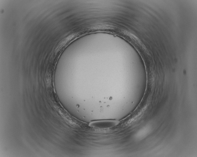 X0000076390833200610271551