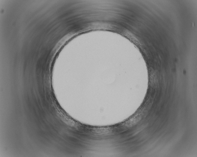 X0000076390836200610271551