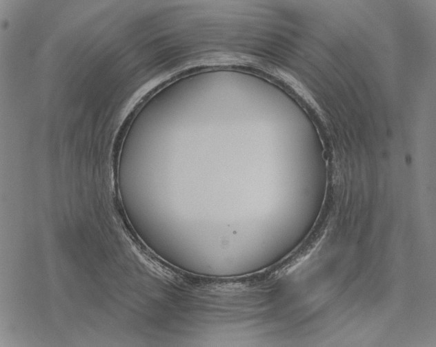 X0000076390837200610271551