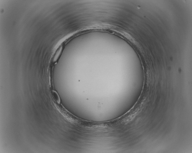 X0000076390838200610271551