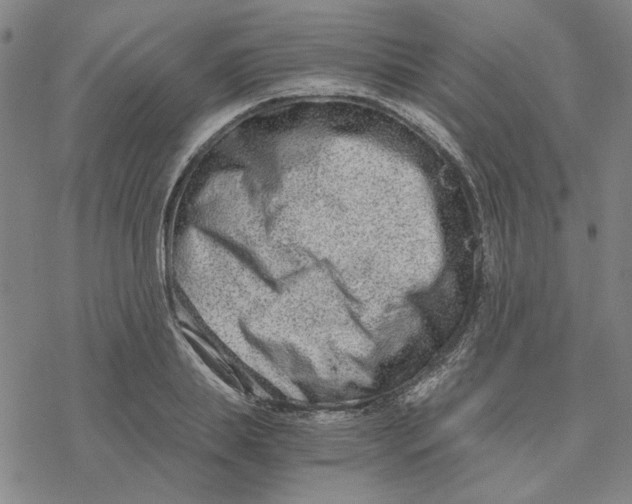 X0000076390839200610271551