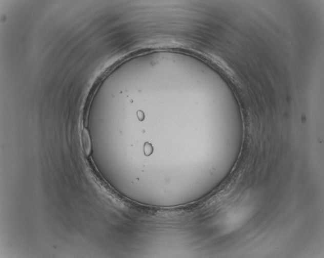 X0000076390840200610271551