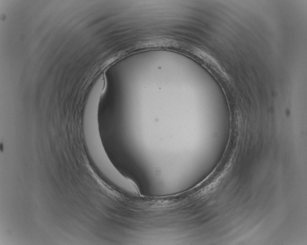 X0000076390841200610271551