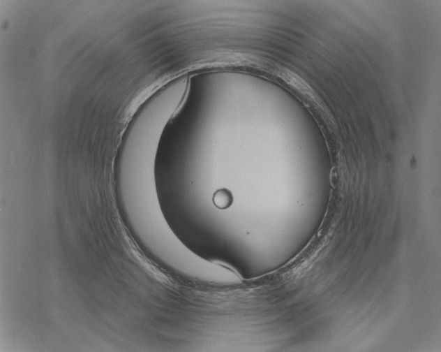 X0000076390842200610271551