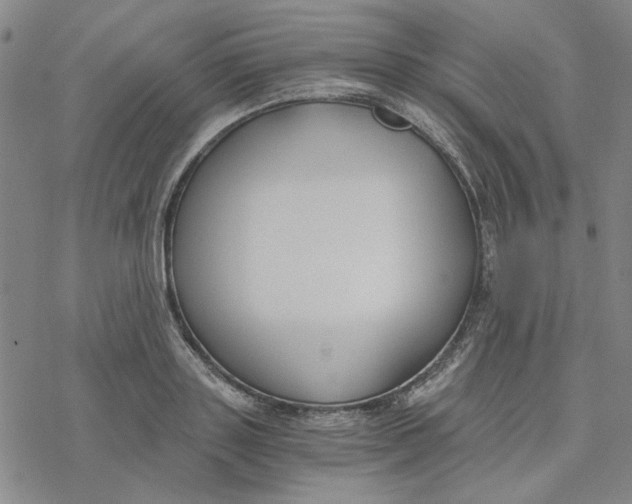 X0000076390843200610271551