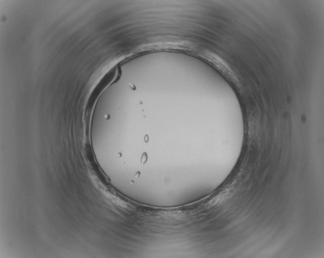 X0000076390844200610271551