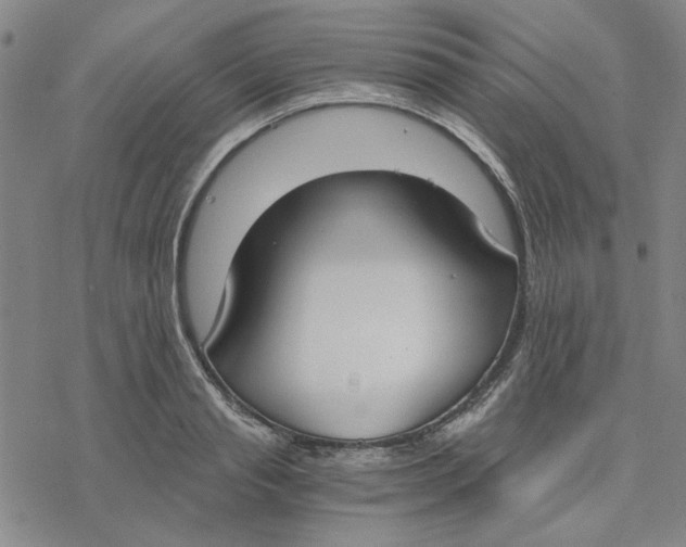 X0000076390845200610271551