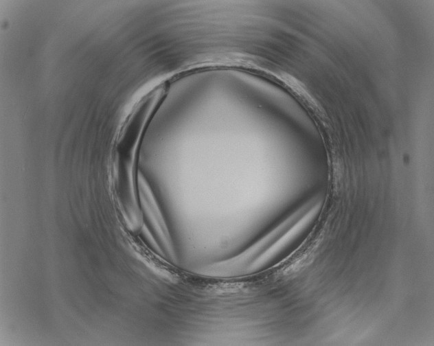 X0000076390846200610271551