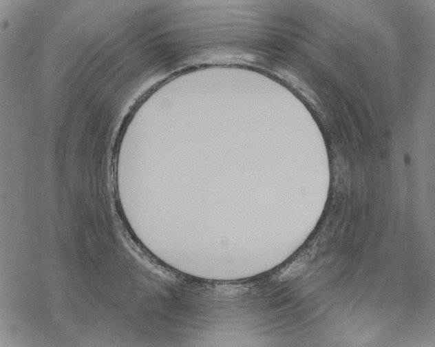 X0000076390848200610271551