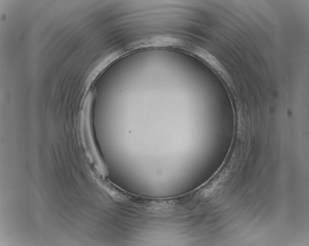 X0000076390850200610271551