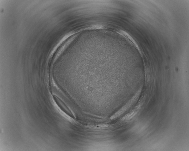 X0000076390851200610271551