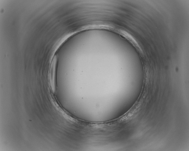 X0000076390852200610271551