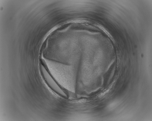 X0000076390853200610271551