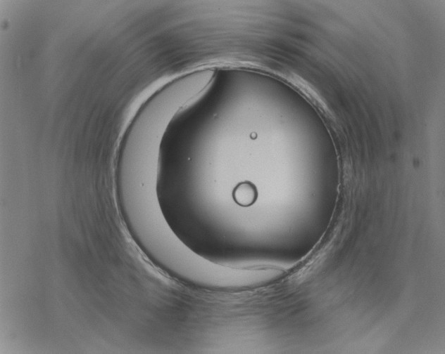 X0000076390854200610271551