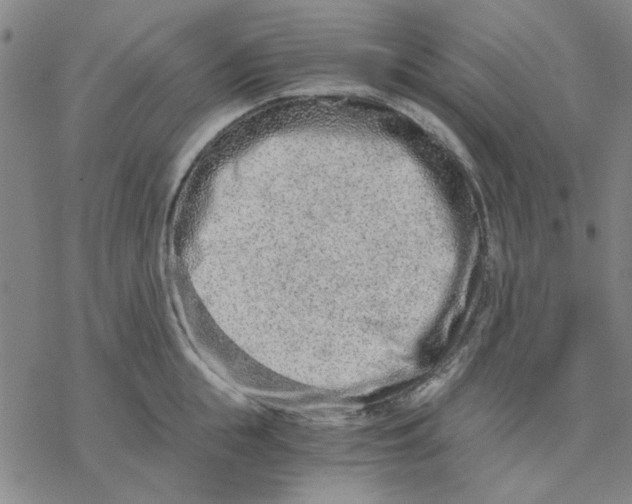 X0000076390855200610271551