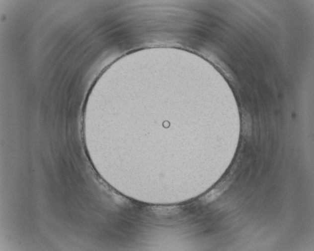 X0000076390856200610271551