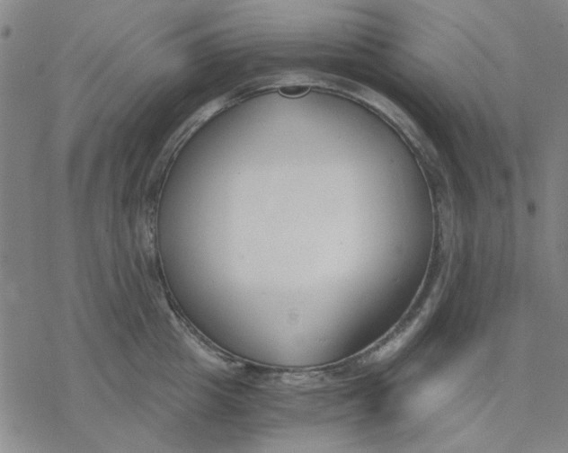 X0000076390857200610271551