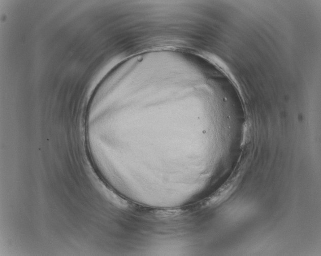 X0000076390859200610271551