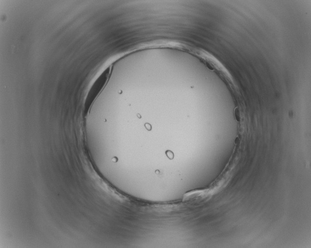 X0000076390860200610271551