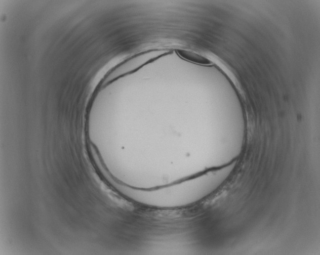 X0000076390861200610271551