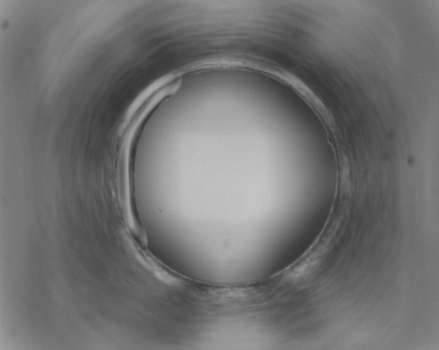 X0000076390862200610271551