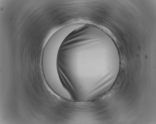 X0000076390863200610271551