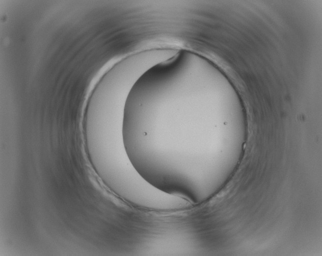 X0000076390864200610271551