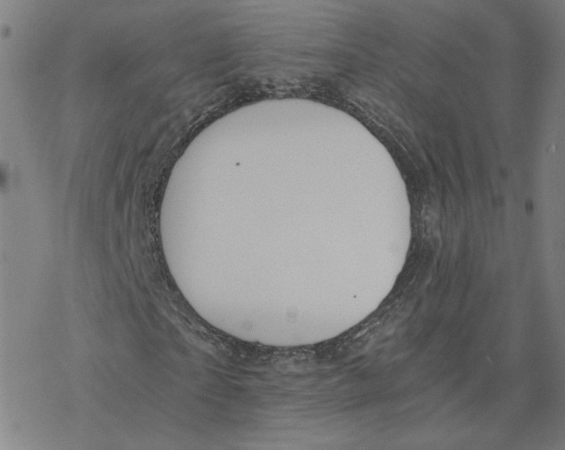 X0000076390865200610271550