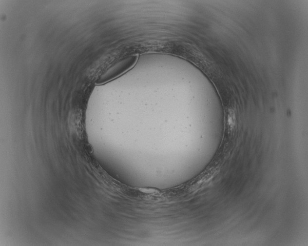 X0000076390867200610271550