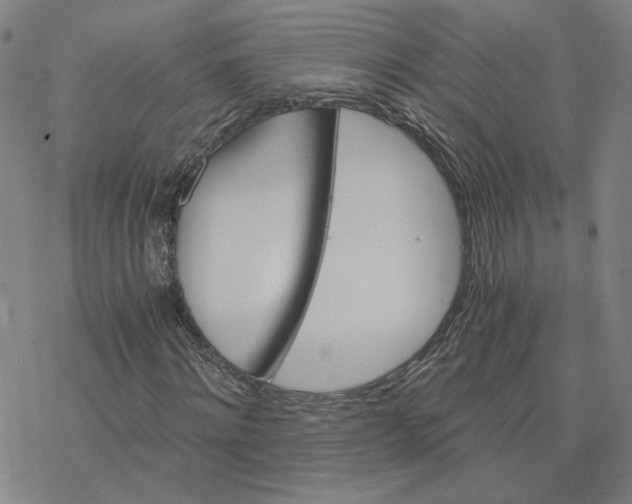 X0000076390868200610271550